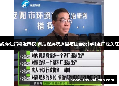 魏震处罚引发热议 背后深层次原因与社会反响引发广泛关注 魏震处罚引发热议 背后深层次原因与社会反响引发广泛关注