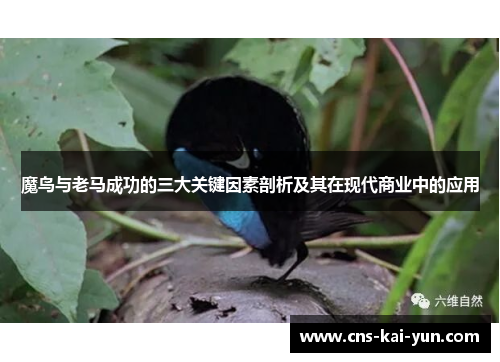 魔鸟与老马成功的三大关键因素剖析及其在现代商业中的应用